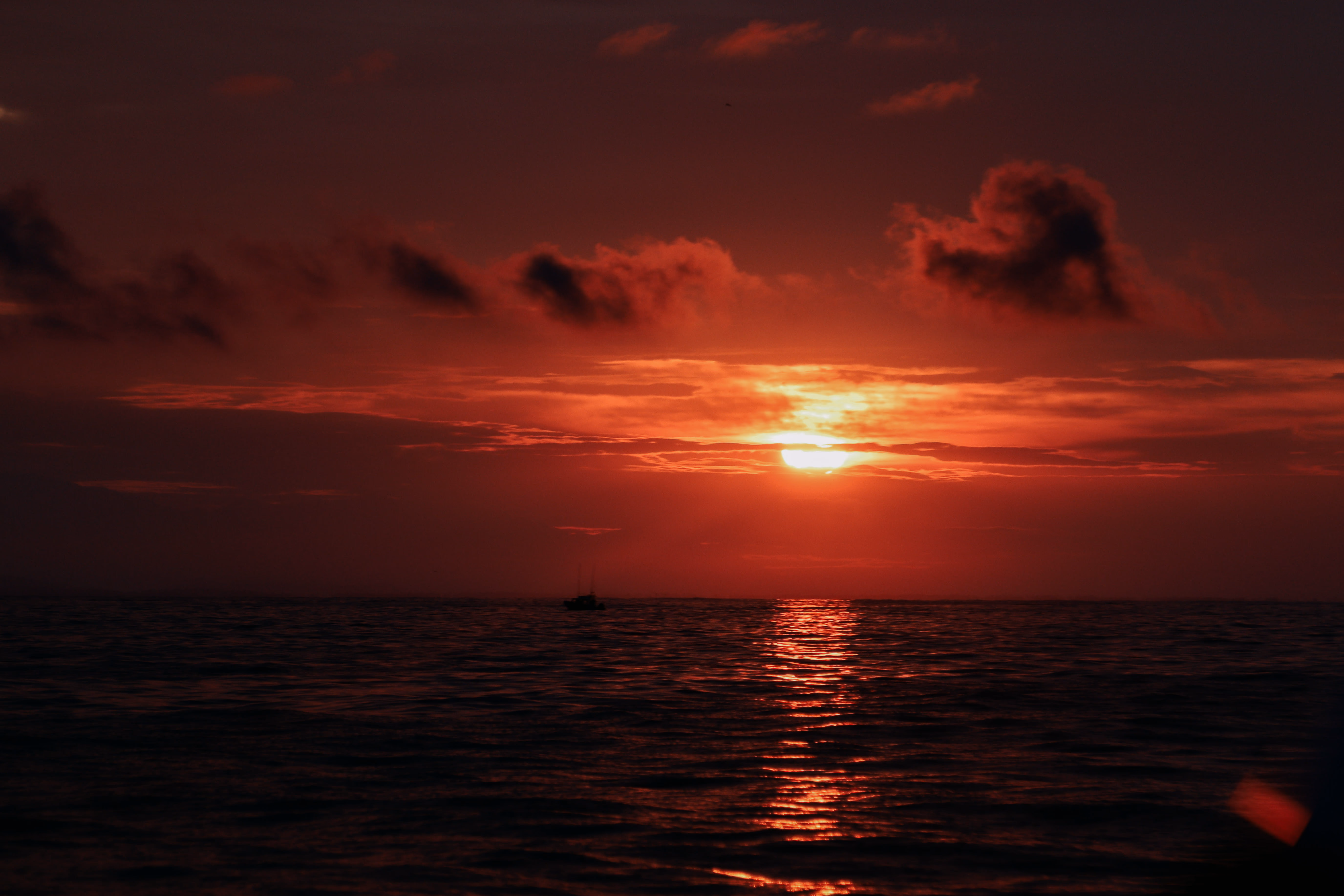 Photograph by Keenan Akit